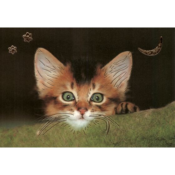Kunstklappkarte süße Katze