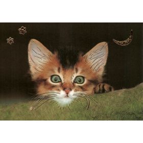 grußkarte-süßes-kätzchen-katze-glückwunschkarte