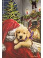 weihnachtskarten-klappkarte-kätzchen-hunde